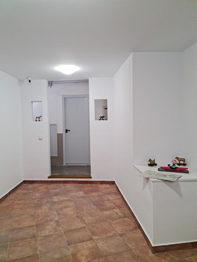 Ca La Maria Apartment La Seu d'Urgell Luaran gambar